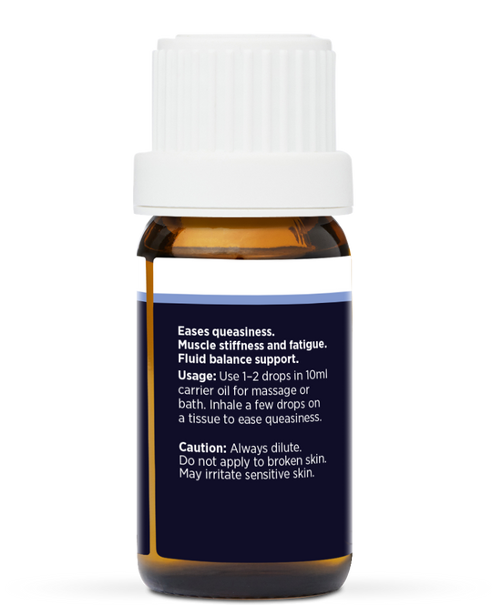 GINGER PURE ESSENTIAL OIL 10ML