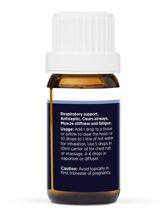 EUCALYPTUS PURE ESSENTIAL OIL
