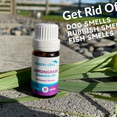 Lemongrass essential oil sales dogs
